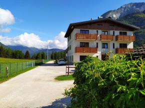 Siora Lina Appartamenti Pelos Di Cadore